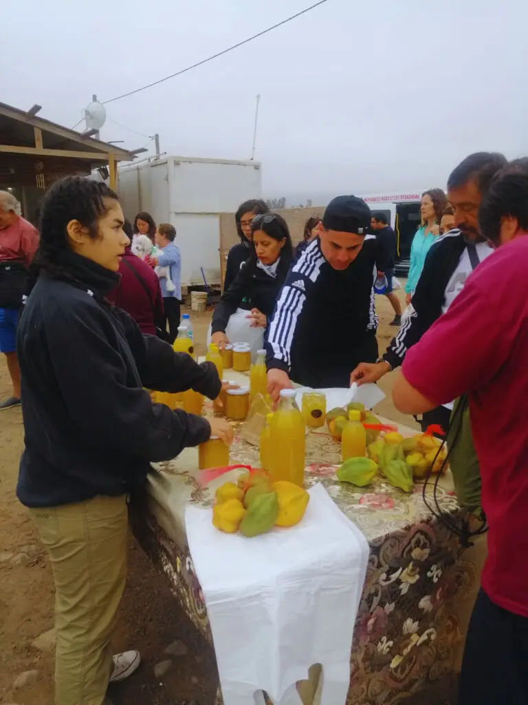 Valle del Elqui bc6cf644 9855 49d6 bd59 5b7943e4dabc