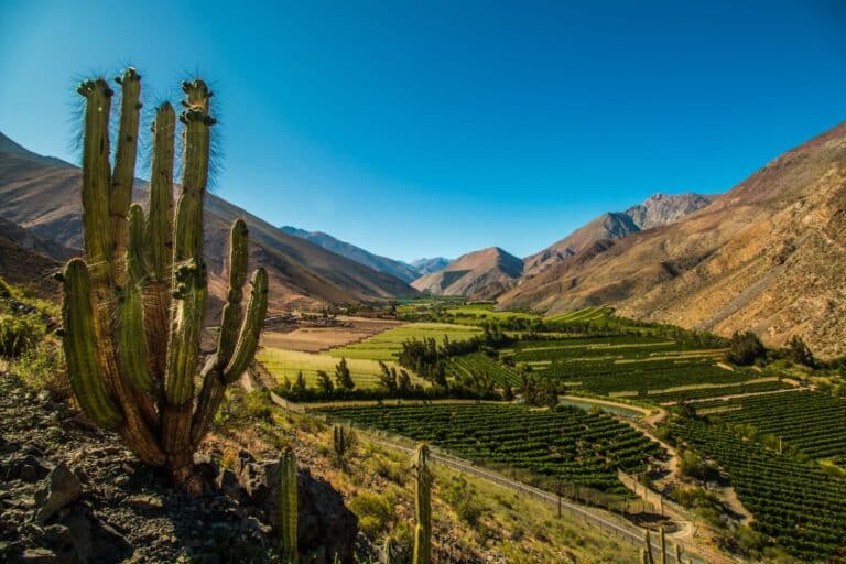 Valle del Elqui Valle del Elqui